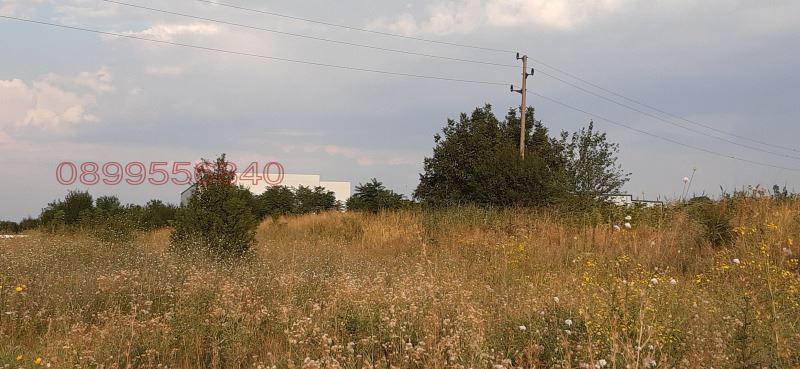 Парцел